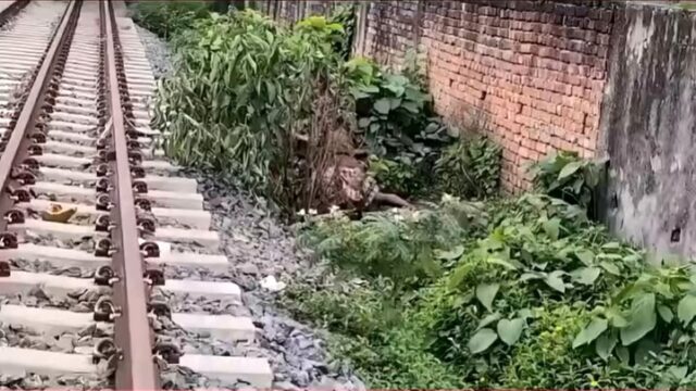 Beautiful Indian Girl Fucked Beside Railway Line Leaked Video